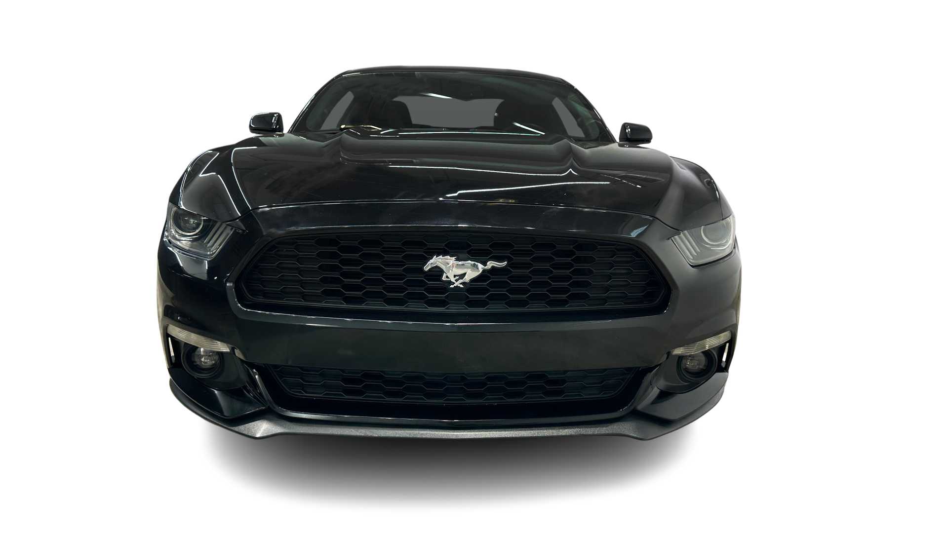 car top image