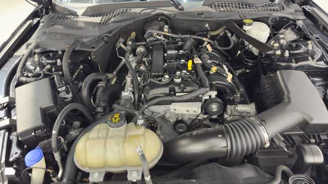 Thumbnail 35